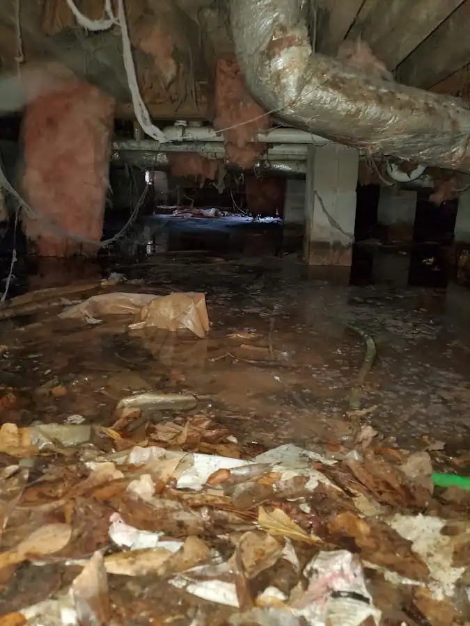 Crawl space flood assessment for Leak Detection & Repair in South Jordan
